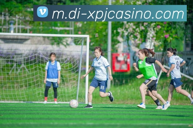 多媒体互动体验